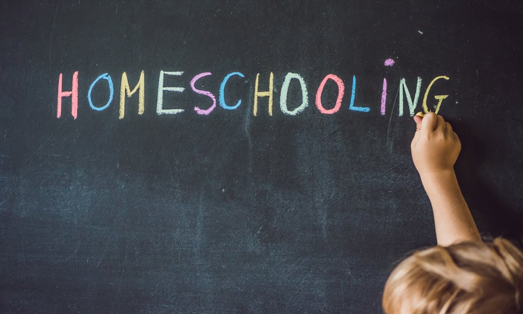 Mengapa Banyak Orang Tua Menyekolahkan Anaknya ke Homeschooling Saat Ini?