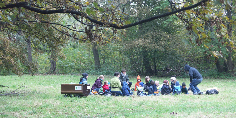 Forest Kindergarten di Schwarzwald, Jerman: Anak Belajar Bebas di Tengah Hutan Pinus
